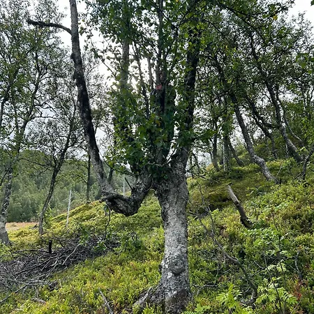 بيت للعطل With Panoramic And Trails Outside