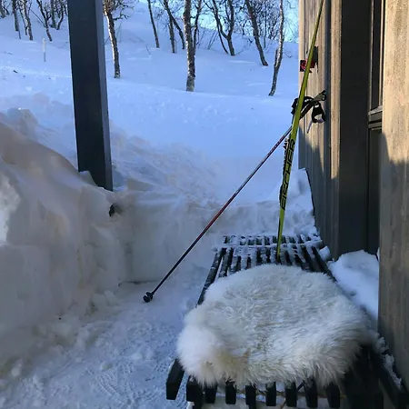 With Panoramic And Trails Outside